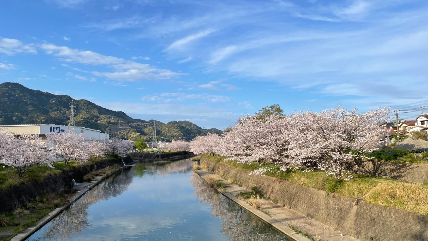 佐野川