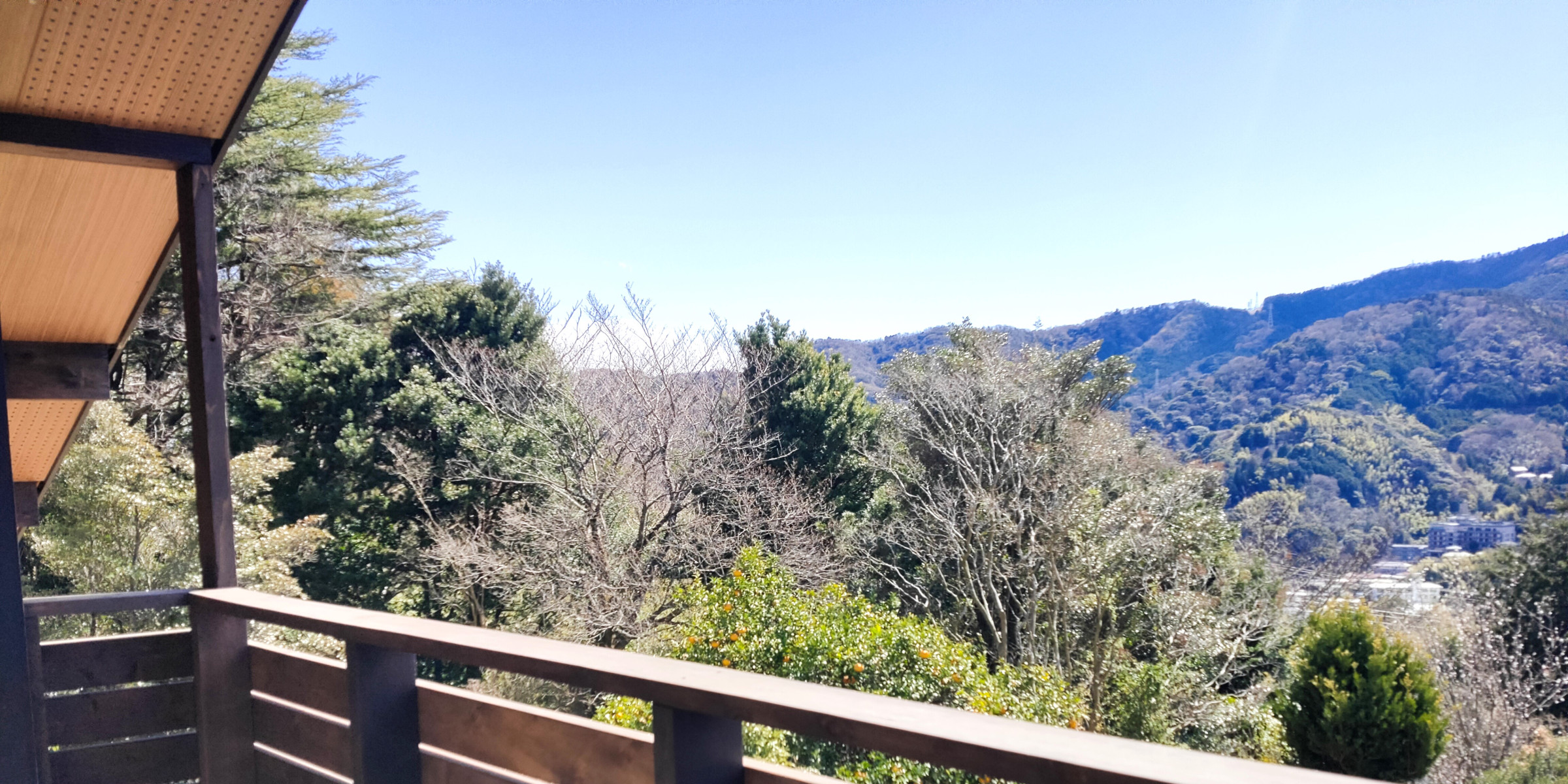 ～湯河原若草山から見る自然豊かな山々の眺め～