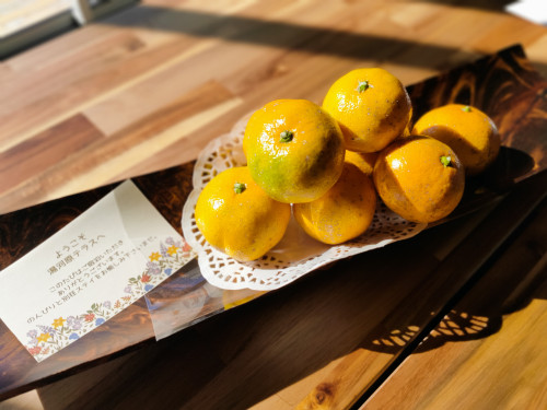 秋のご旅行はぜひ湯河原♨へお出掛け下さいませ(^^♪