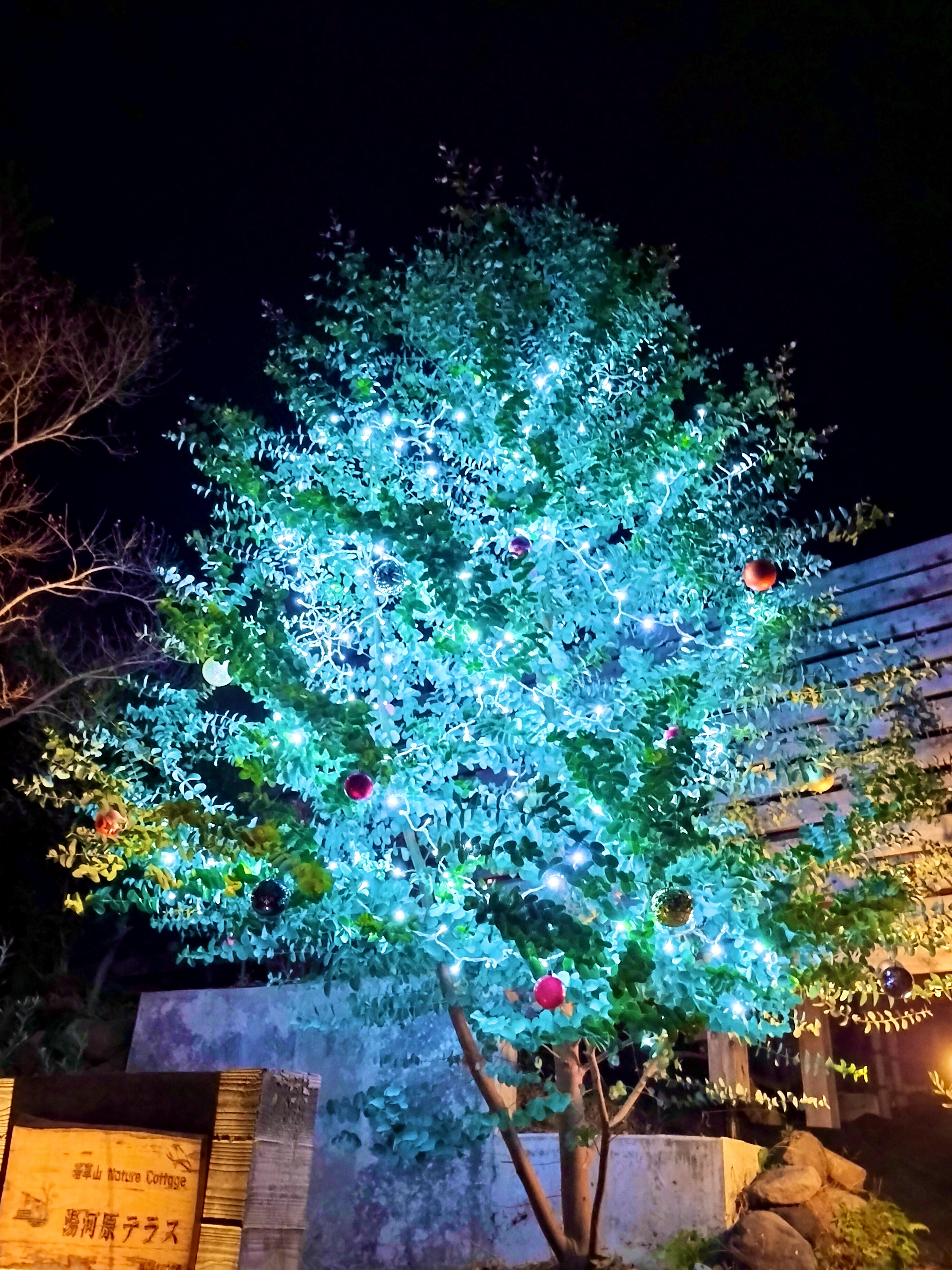 ★クリスマス＊年末年始まだ空きがございます！【ご予約は一番お得な公式ページで！】