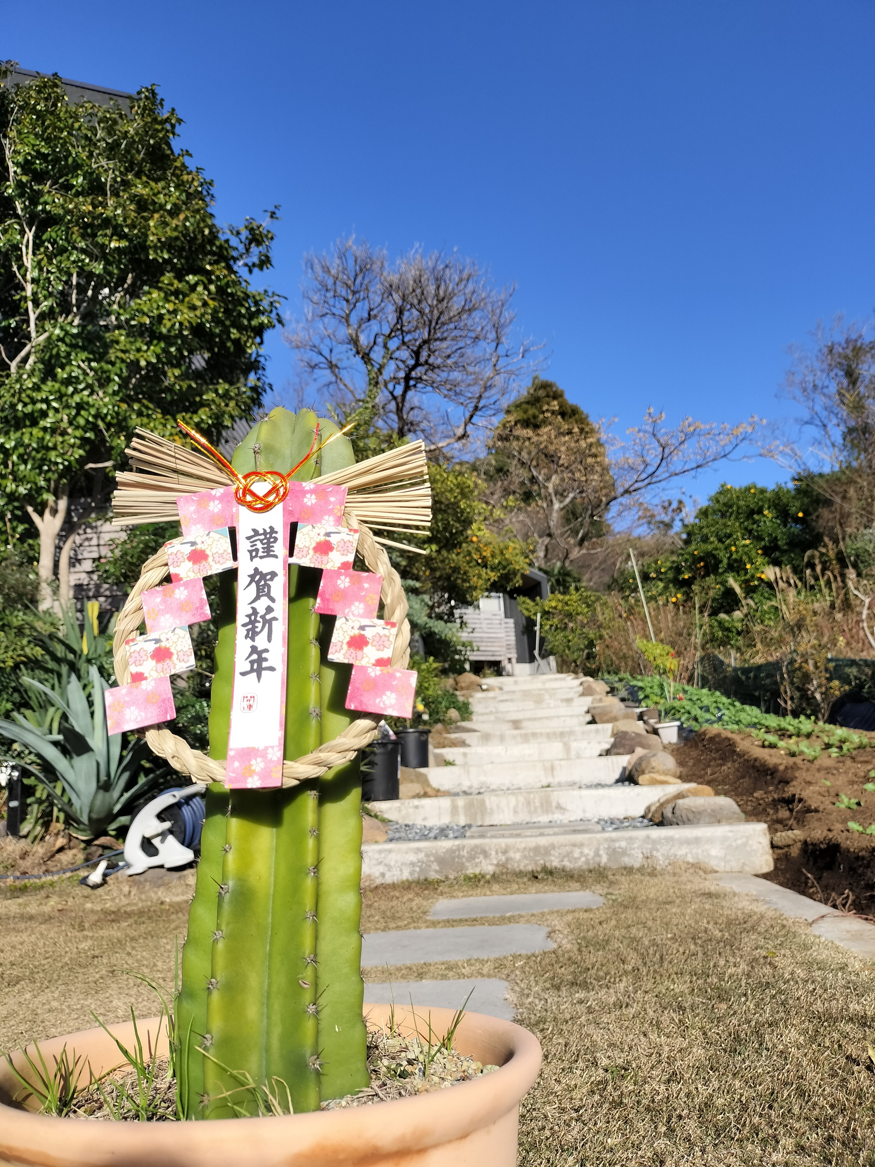🎍新年明けましておめでとうございます🎍