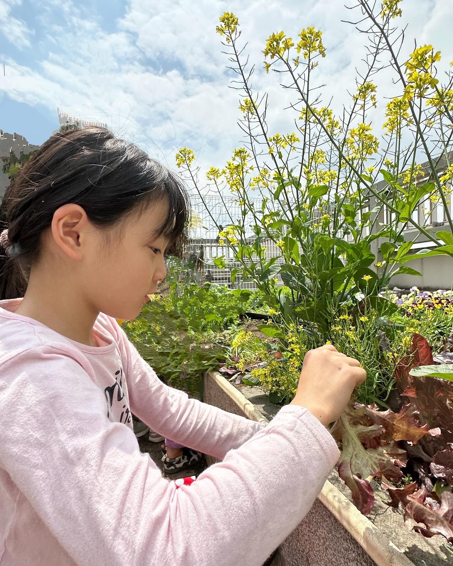 🌞４月🌞