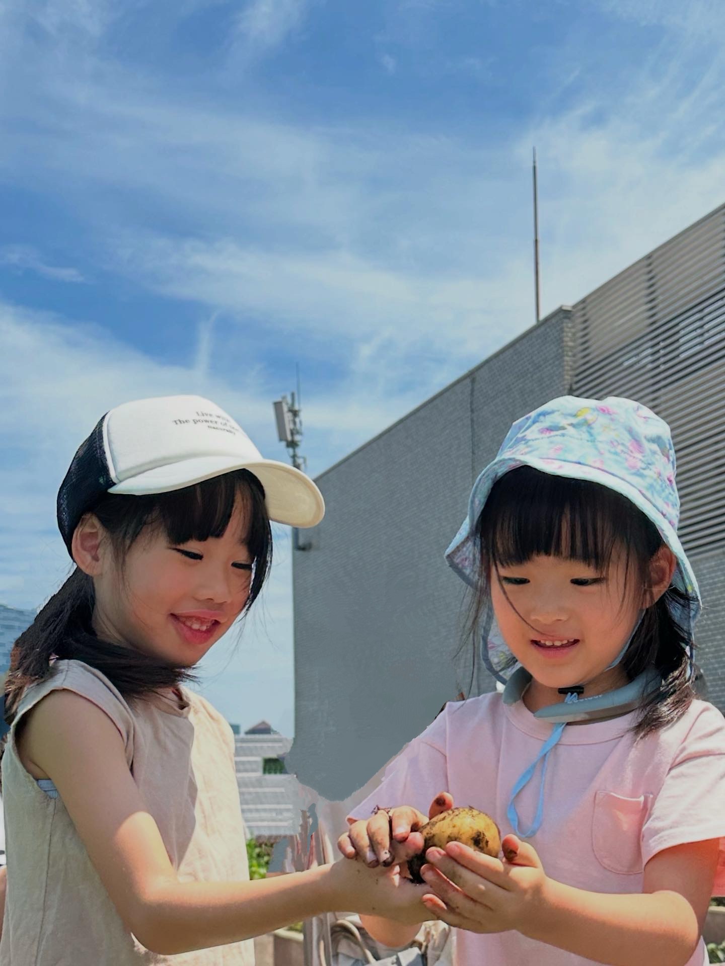 ☀️６月☀️