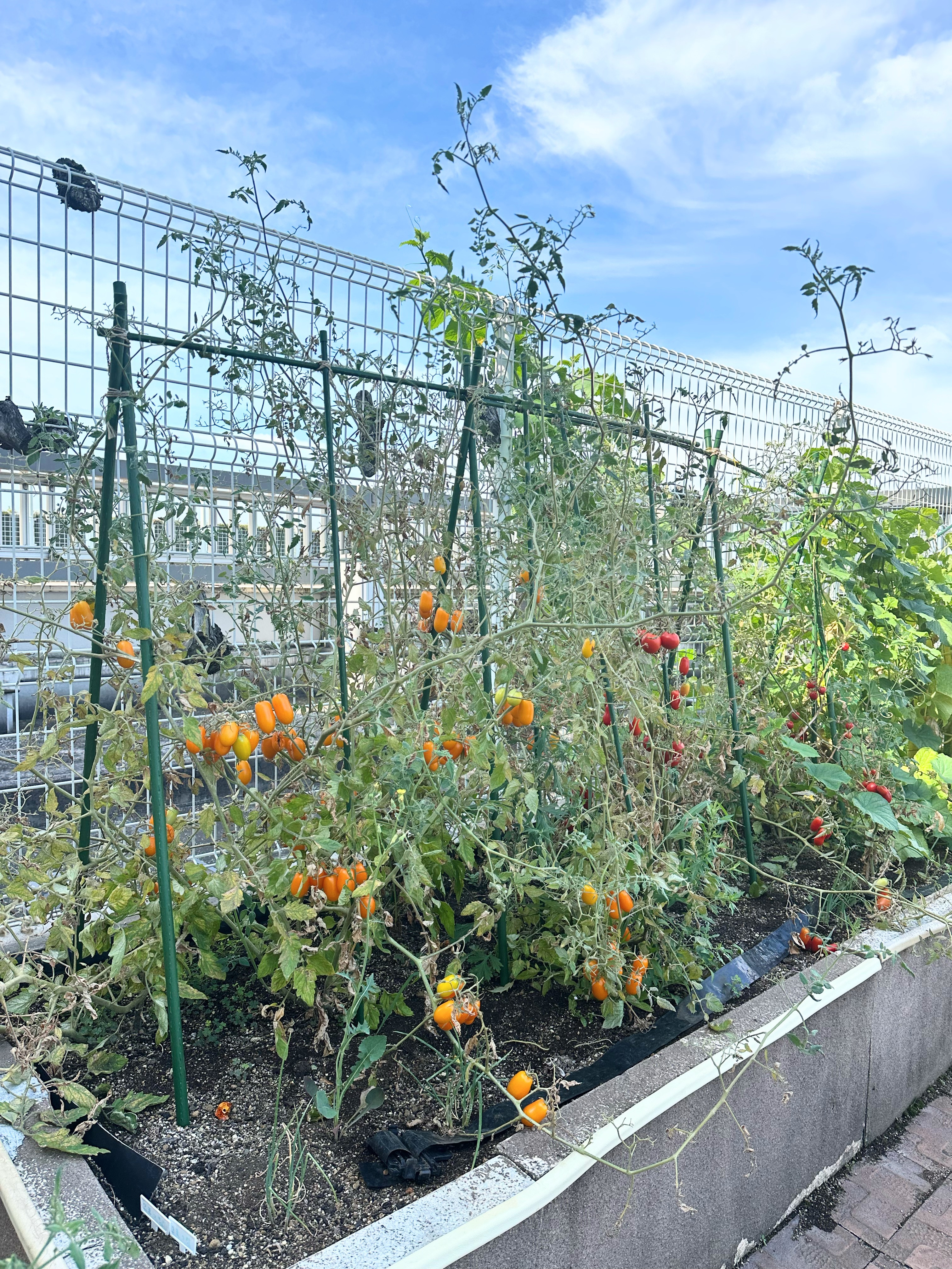 ☀️８月☀️