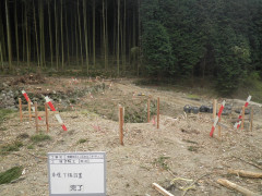 RIMG14456.JPG