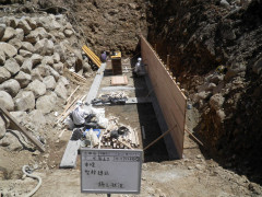 RIMG14652.JPG