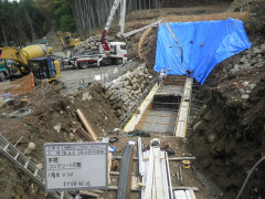 RIMG14764.JPG