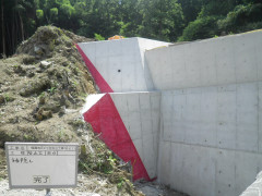 RIMG15894.JPG