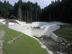 RIMG16112.JPG