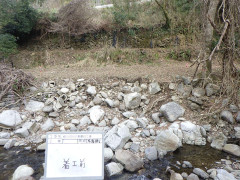 RIMG6713.JPG