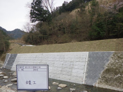 RIMG8047.JPG