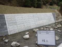 RIMG8051.JPG