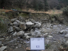RIMG6753.JPG