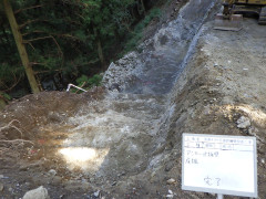 RIMG4824.JPG