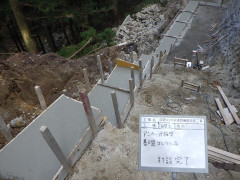 RIMG4859.JPG