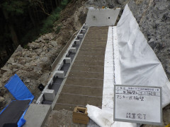 RIMG4902.JPG