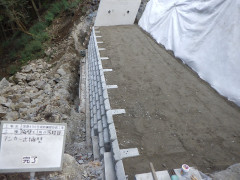 RIMG4949.JPG