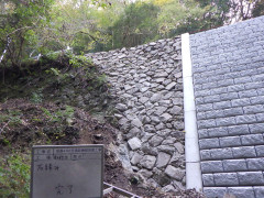 RIMG5140.JPG