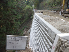 RIMG5264.JPG