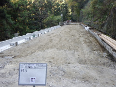 RIMG5358.JPG