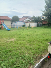 20250812_140244.jpg