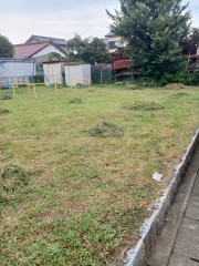 20250812_155316.jpg