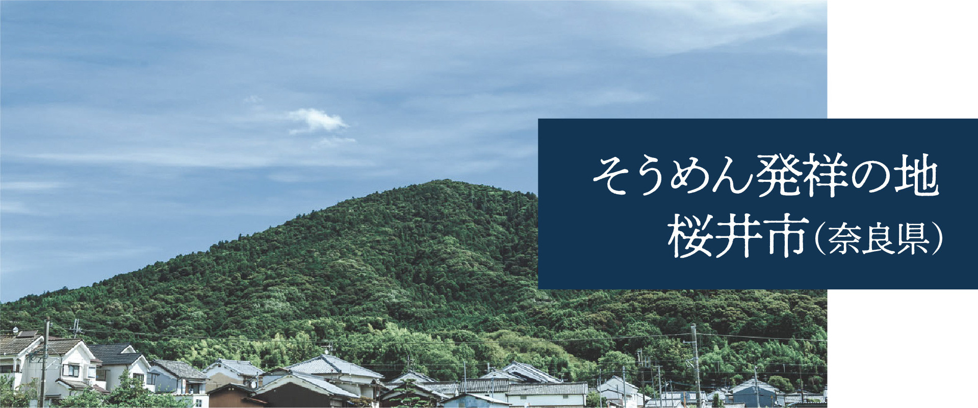 アセット 6@2x-80.jpg