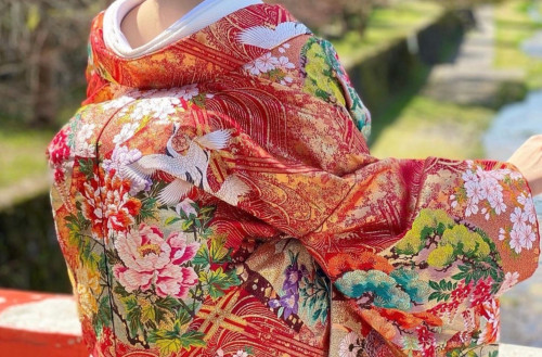 "About Kimono"  