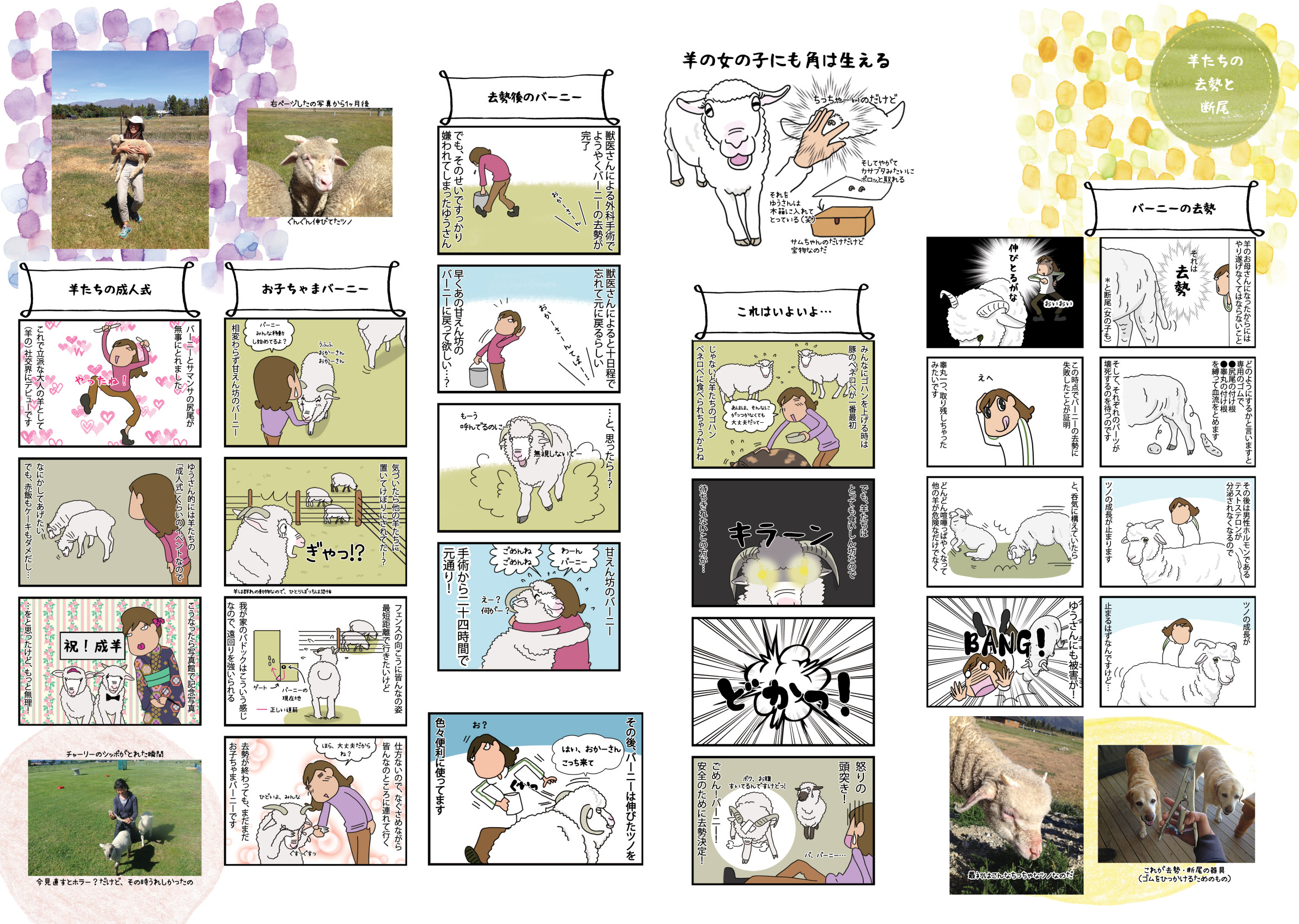 バーニーの去勢…と、こんなエピソード漫画が119本！A4サイズで1000円です。
