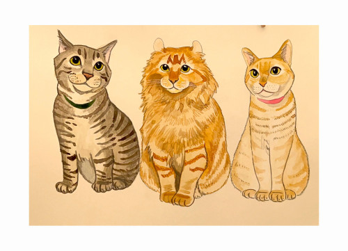 式地さま猫ちゃんず.jpg
