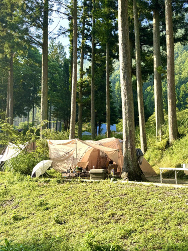 IMG_テント.JPG