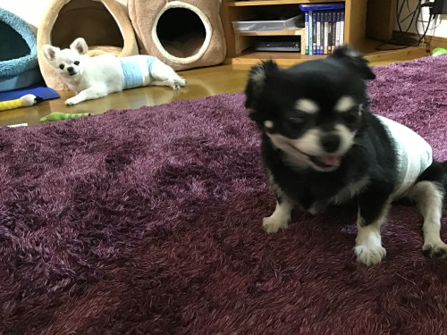IMG_1349.jpeg