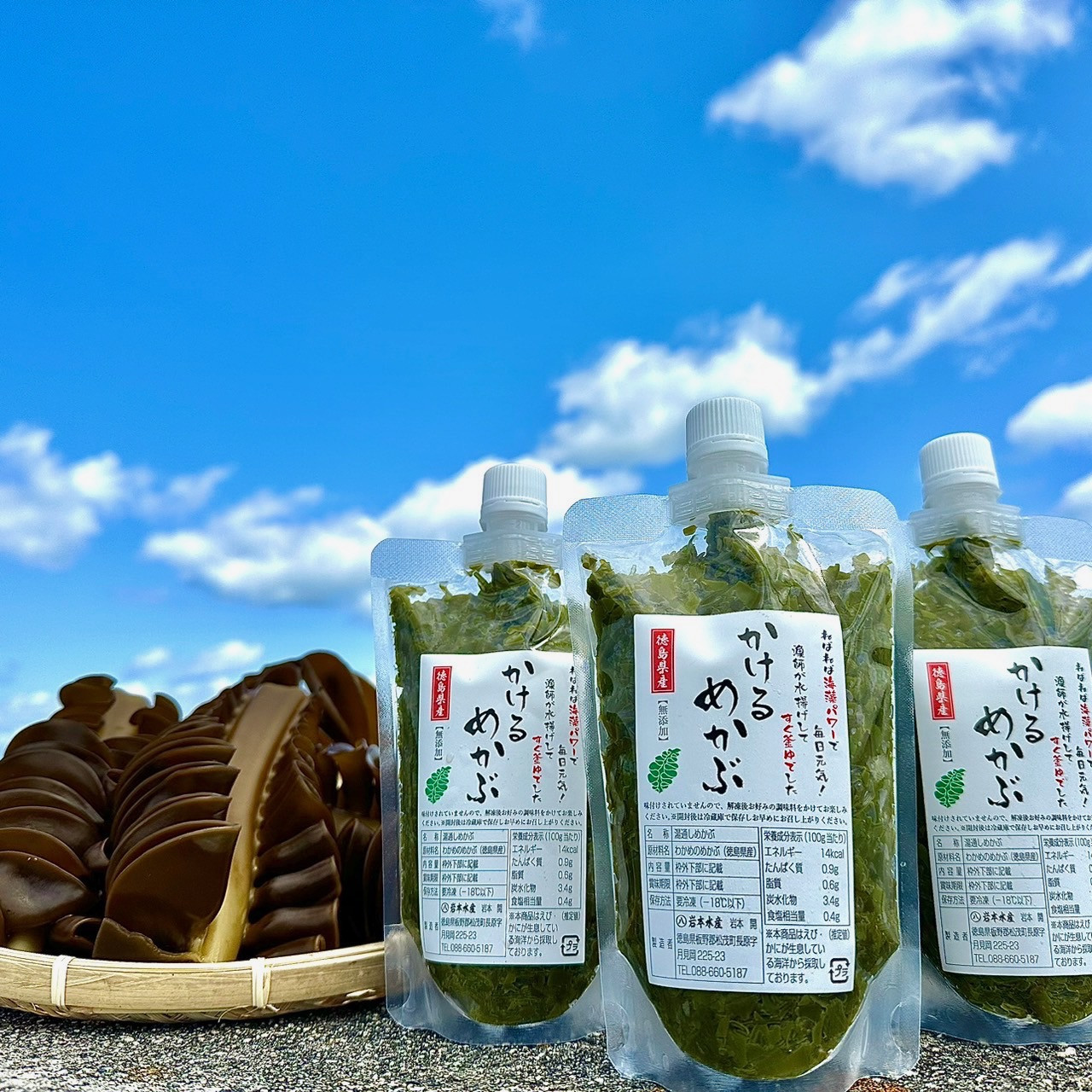 徳島県産わかめ 四国三郎牡蠣 かけるめかぶ 天草 アワビ サザエ