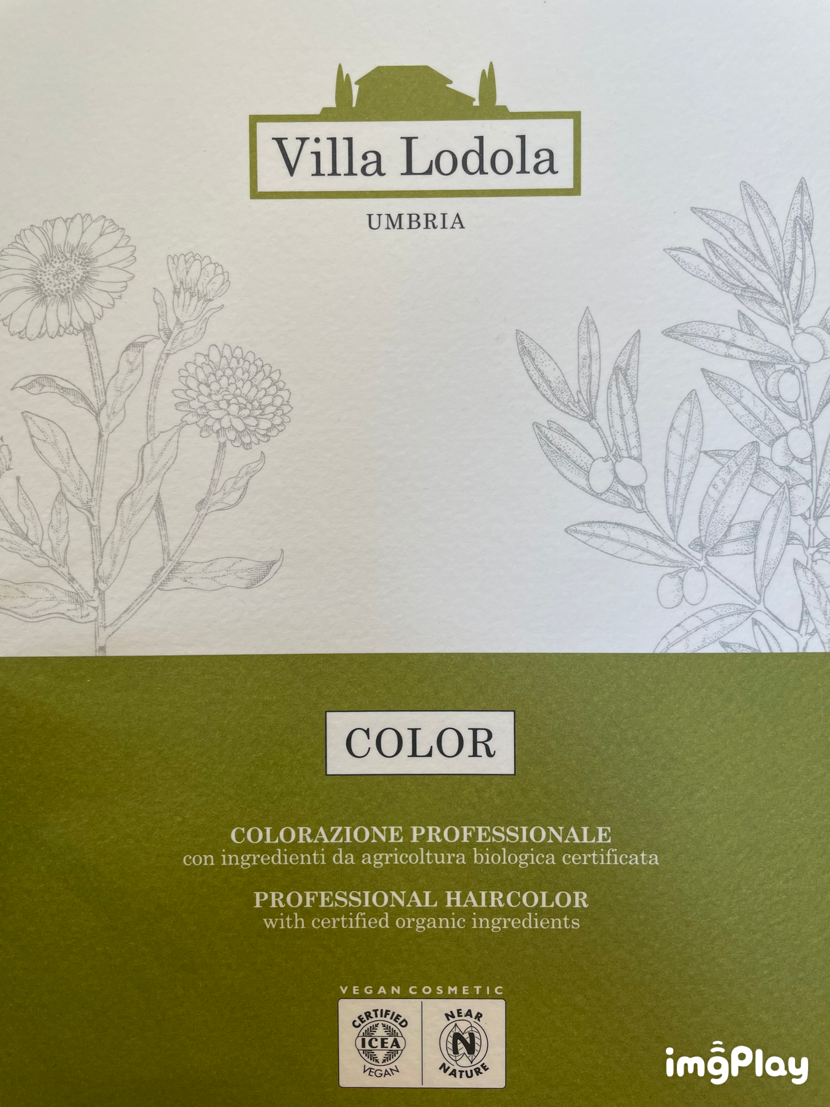 Villa Lodola color