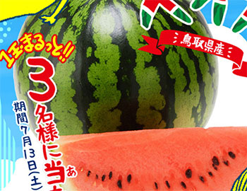 ✨🍉SNSでもスイカプレゼント🍉✨