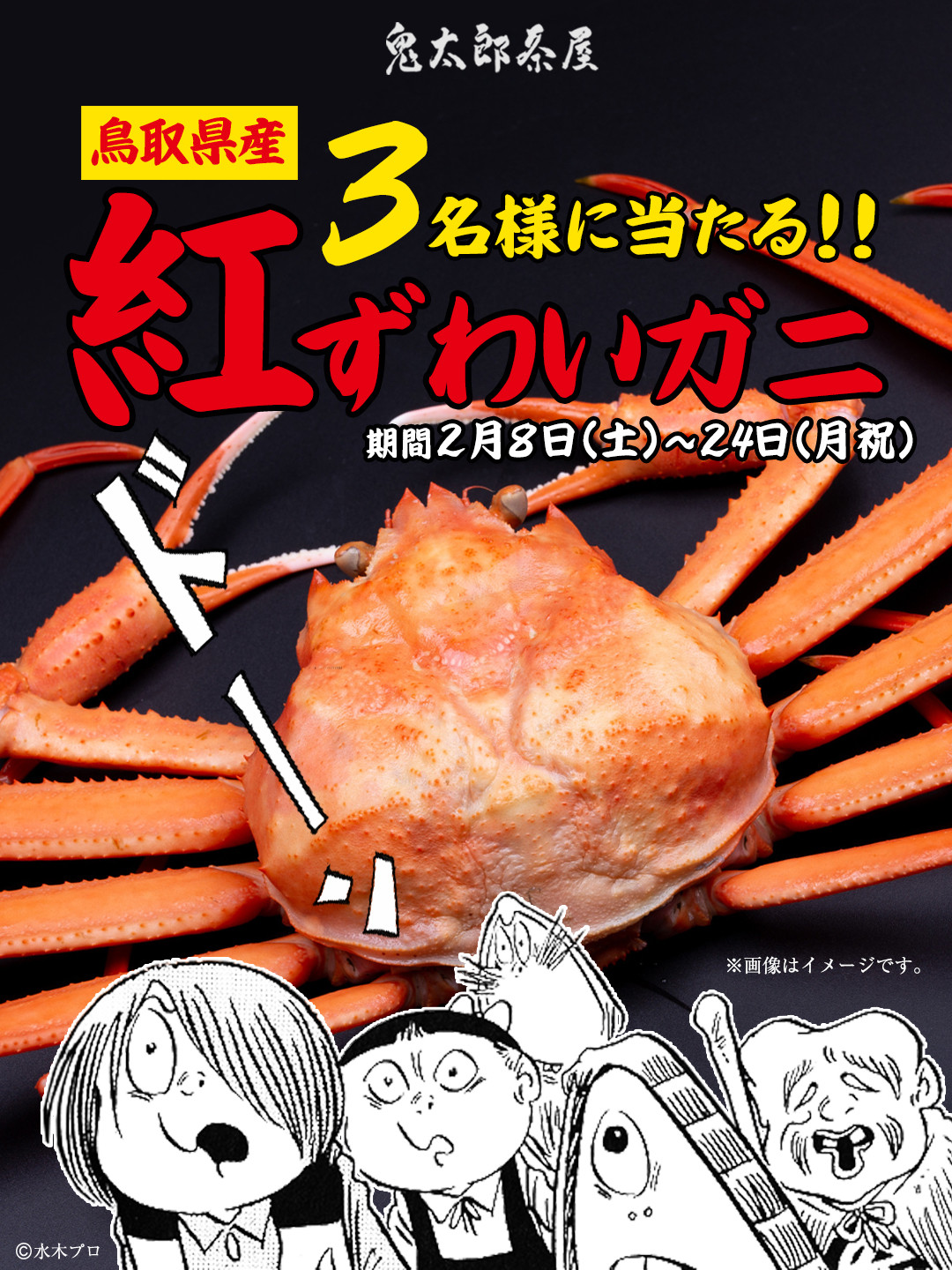 ✨🦀紅ずわいガニ当たる🦀✨