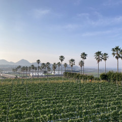 S__37109774.jpg