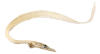 タチウオ.png