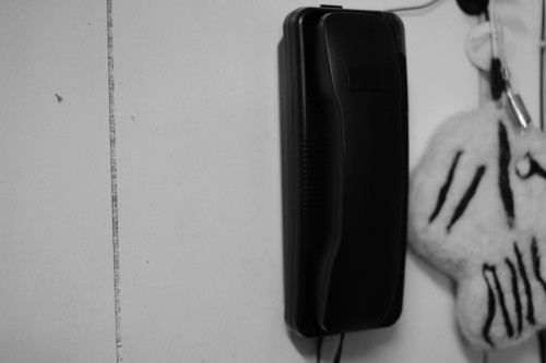 DSCF9129.JPG