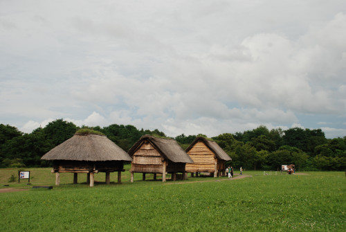 DSC_3110.JPG