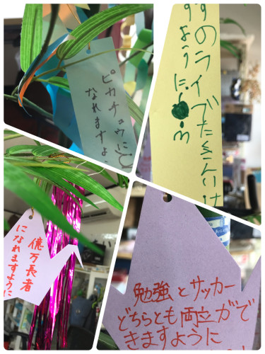 D78473C3-E0D7-4FCD-9CB5-468D79FDB846.jpeg