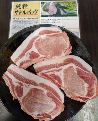 限定！「純粋サドルバック」とんかつ