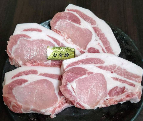 限定！「白金豚」とんかつ