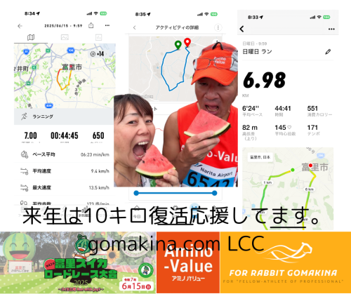 来年は10キロ復活応援してます。 gomakina.com LCC.png