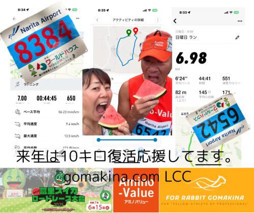 来年は10キロ復活応援してます。 gomakina.com LCC.png