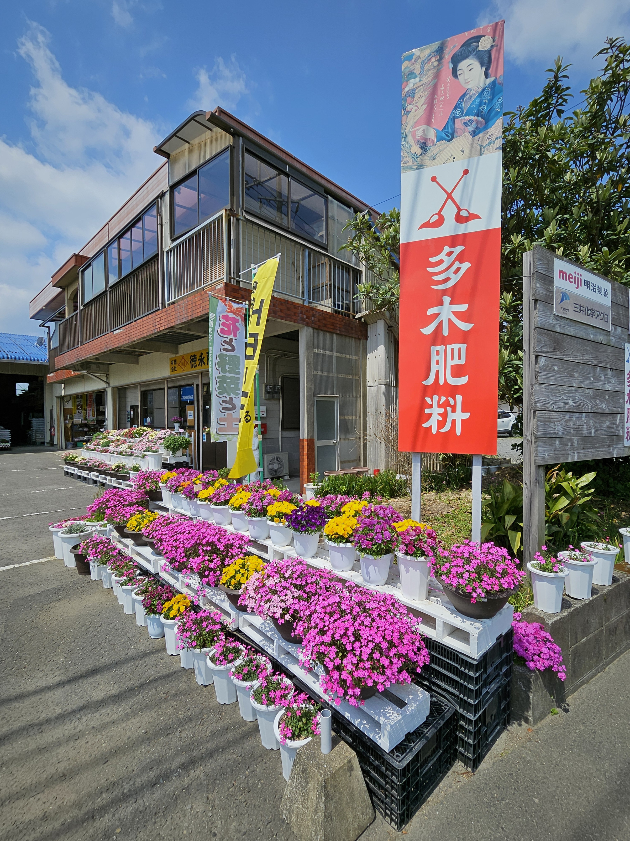 徳永商会では鉢花扱ってます。
