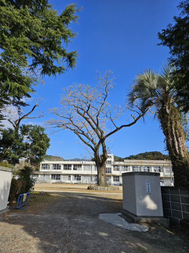 学校・公園等おススメ商品！