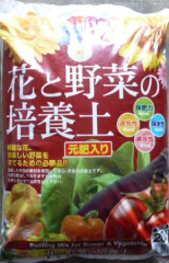 P1180653 - コピー.JPG