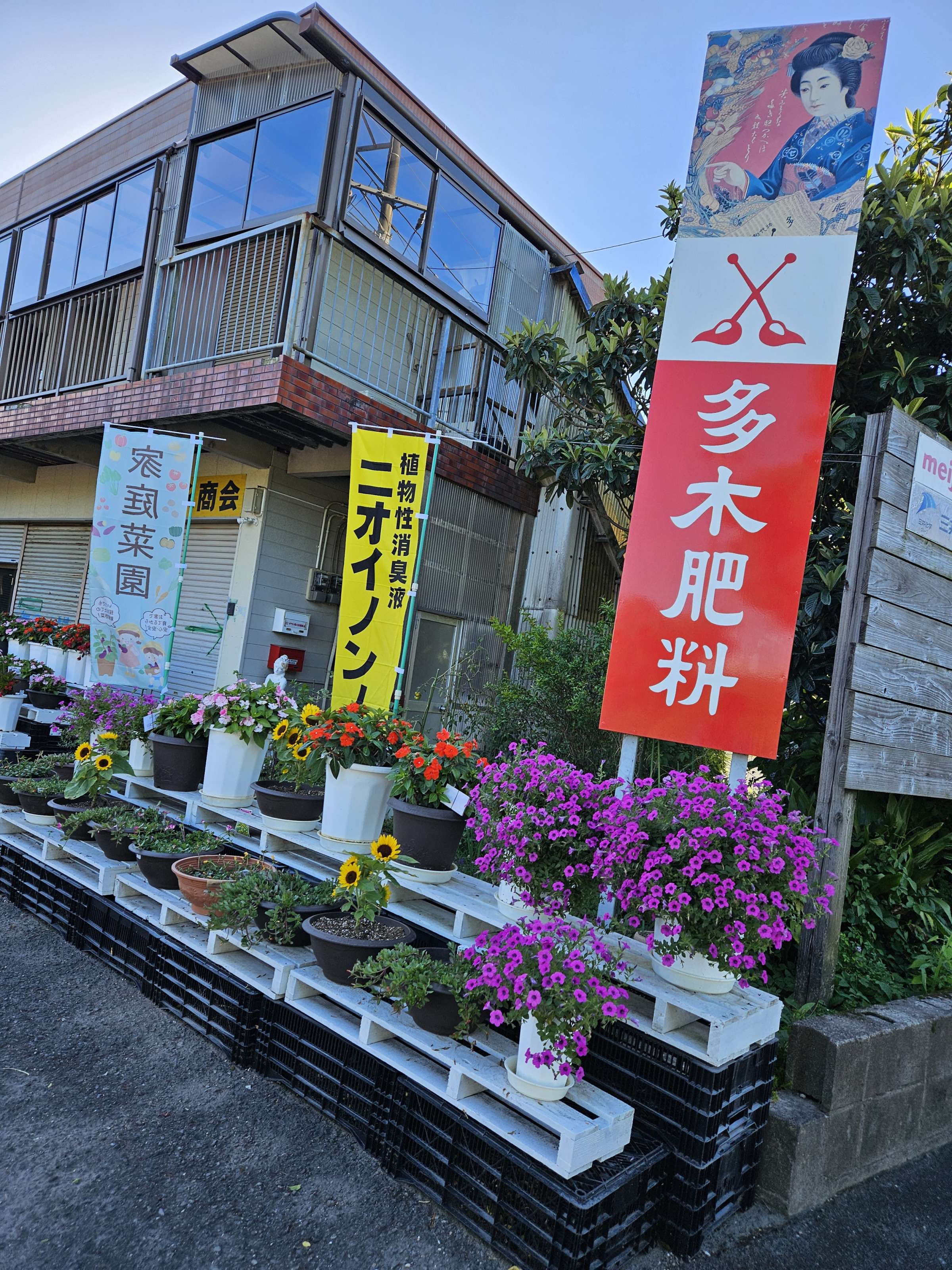 徳永商会は花盛り！？