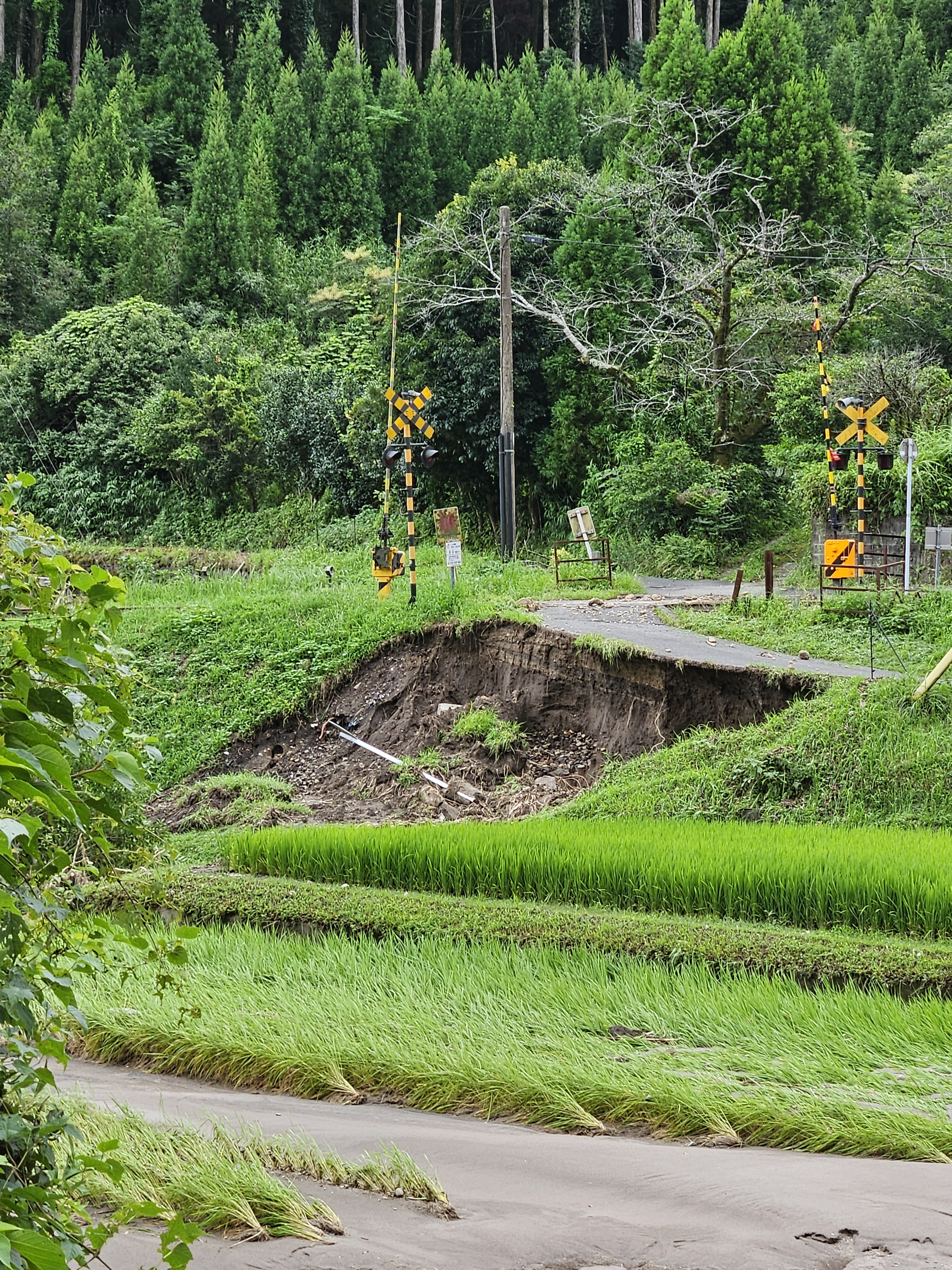 霧島を中心とした大雨被害について